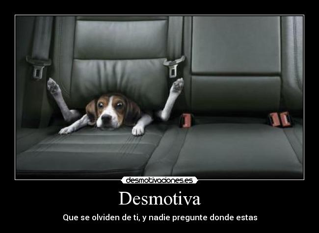 Desmotiva - Que se olviden de ti, y nadie pregunte donde estas