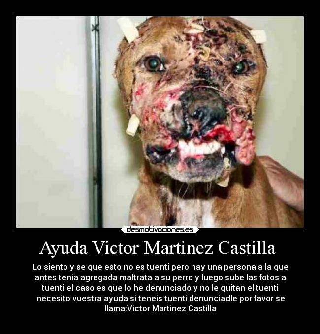 Ayuda Victor Martinez Castilla -