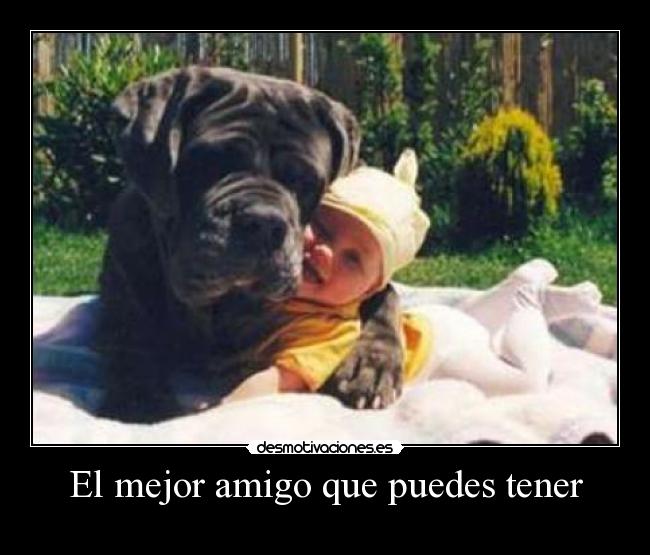 El mejor amigo que puedes tener -