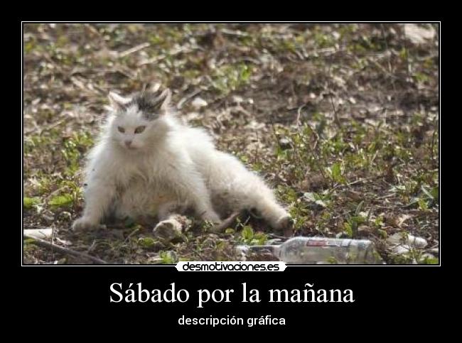 Sábado por la mañana - descripción gráfica