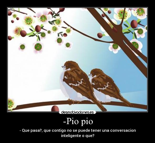 -Pio pio - - Que pasa?, que contigo no se puede tener una conversacion inteligente o que?