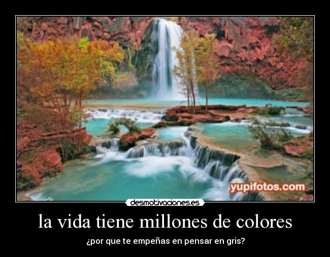 la vida tiene millones de colores - ¿por que te empeñas en pensar en gris?