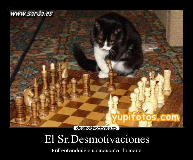 El Sr.Desmotivaciones -