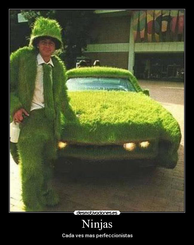 Ninjas -