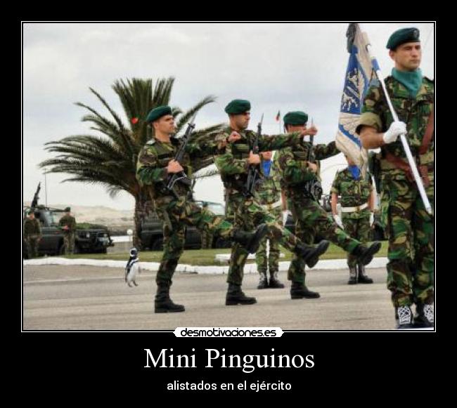 Mini Pinguinos -