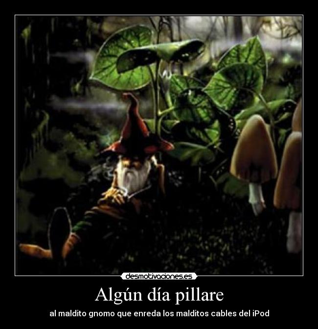 Algún día pillare - 