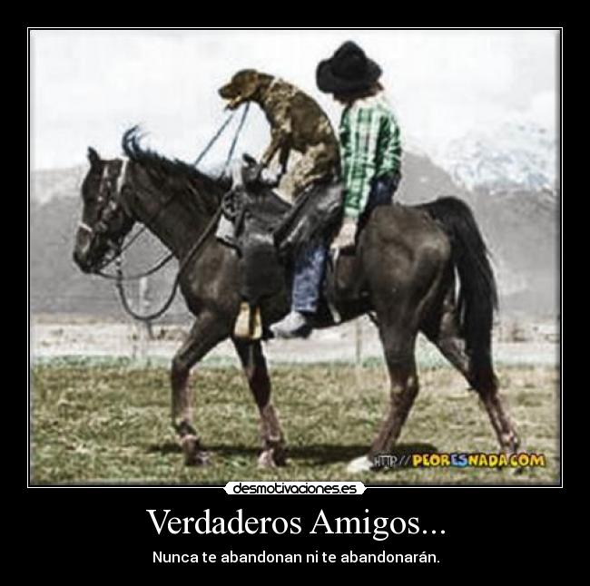 Verdaderos Amigos... -