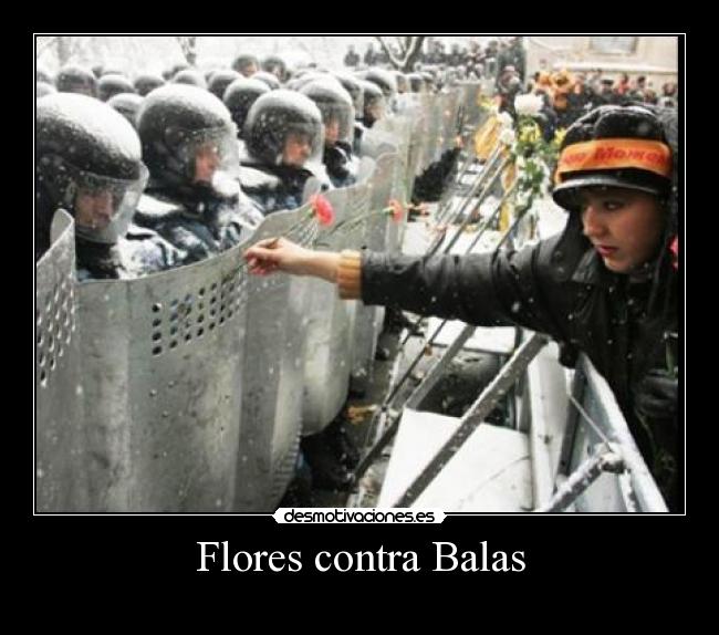 Flores contra Balas -