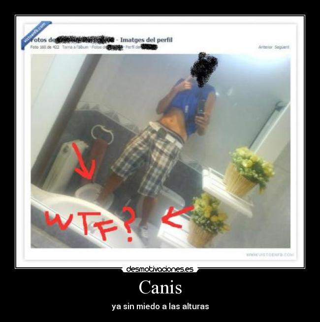 Canis - 