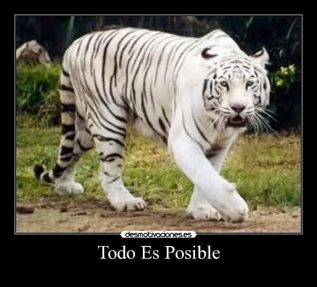 Todo Es Posible - 