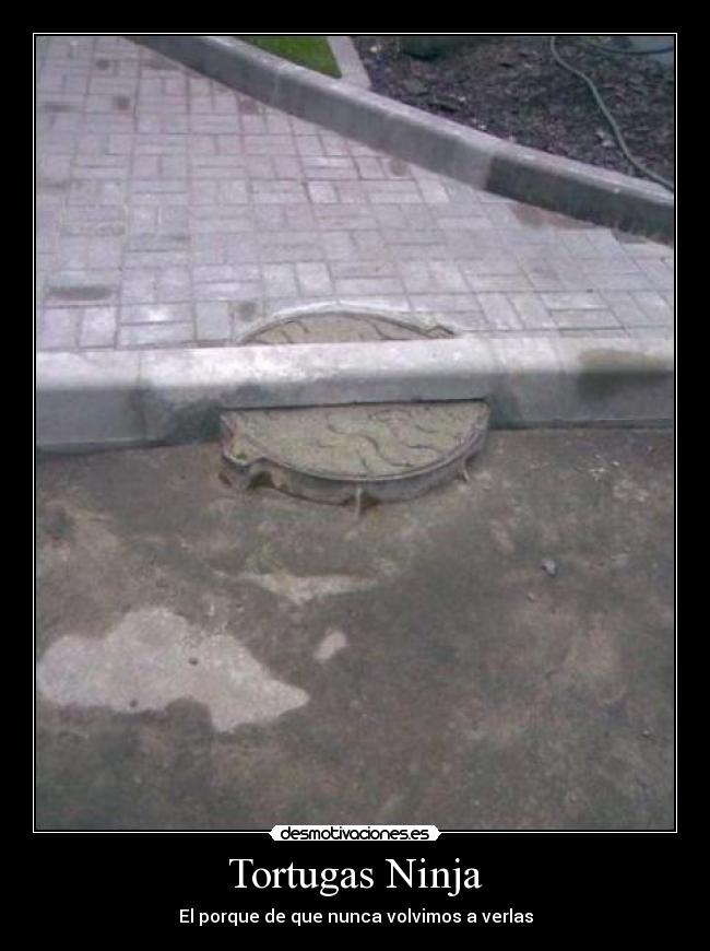Tortugas Ninja - 