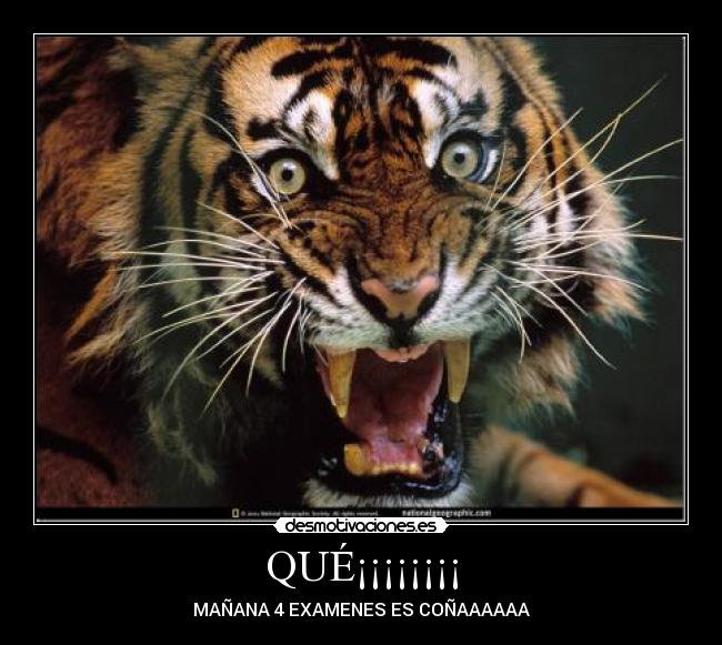 carteles pasa desmotivaciones