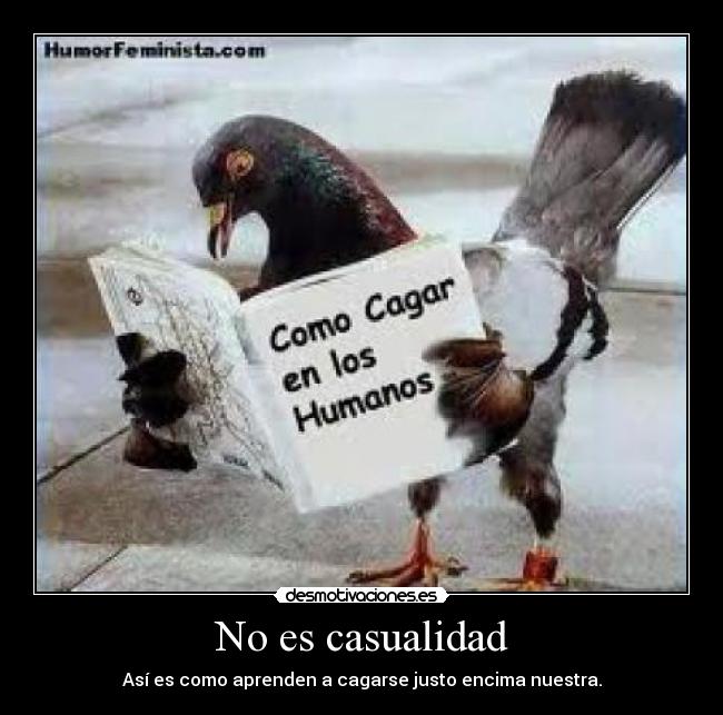 No es casualidad - Así es como aprenden a cagarse justo encima nuestra.