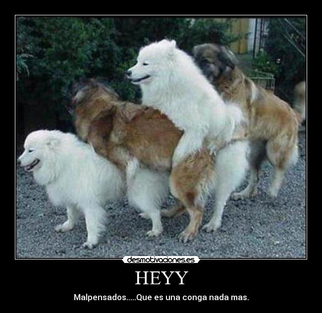 HEYY - Malpensados.....Que es una conga nada mas.