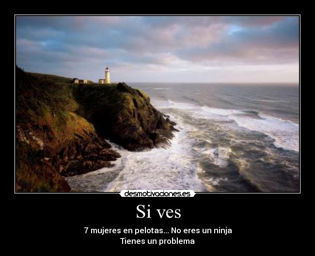 Si ves - 7 mujeres en pelotas... No eres un ninja
Tienes un problema