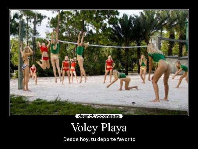 Voley Playa - 