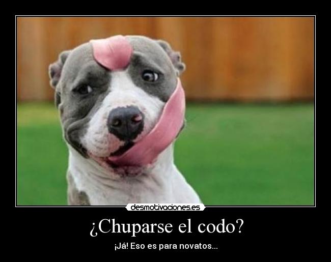 ¿Chuparse el codo? - 