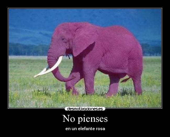 No pienses - 