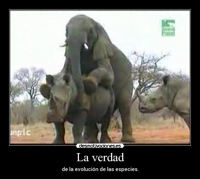 La verdad - de la evolución de las especies.