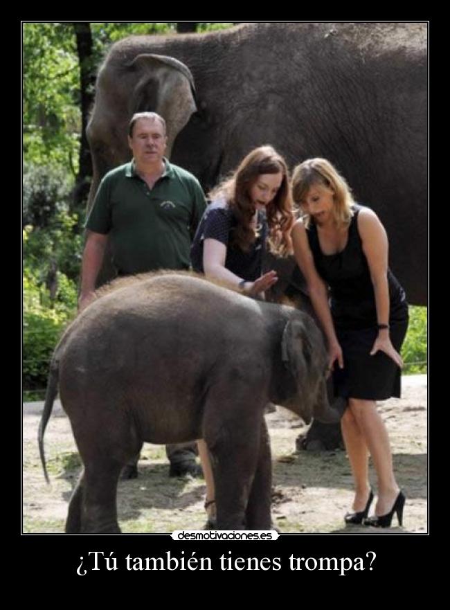 ¿Tú también tienes trompa? - 