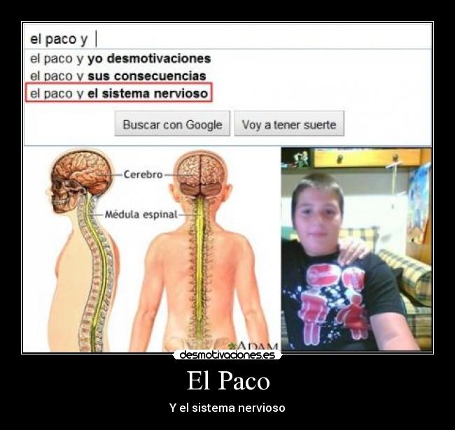El Paco - Y el sistema nervioso