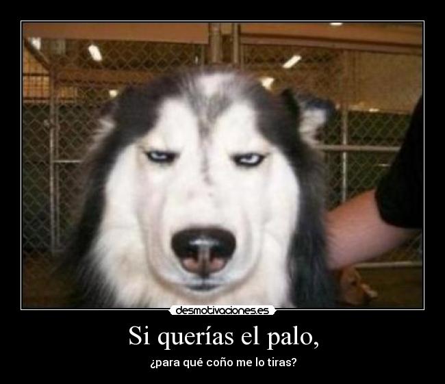 Si querías el palo, -