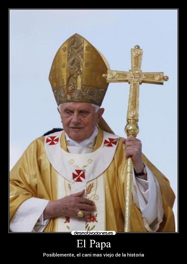 El Papa - Posiblemente, el cani mas viejo de la historia