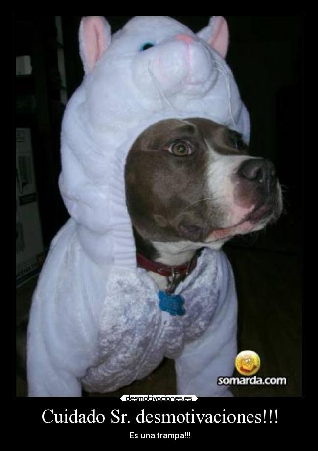 Cuidado Sr. desmotivaciones!!! - Es una trampa!!!