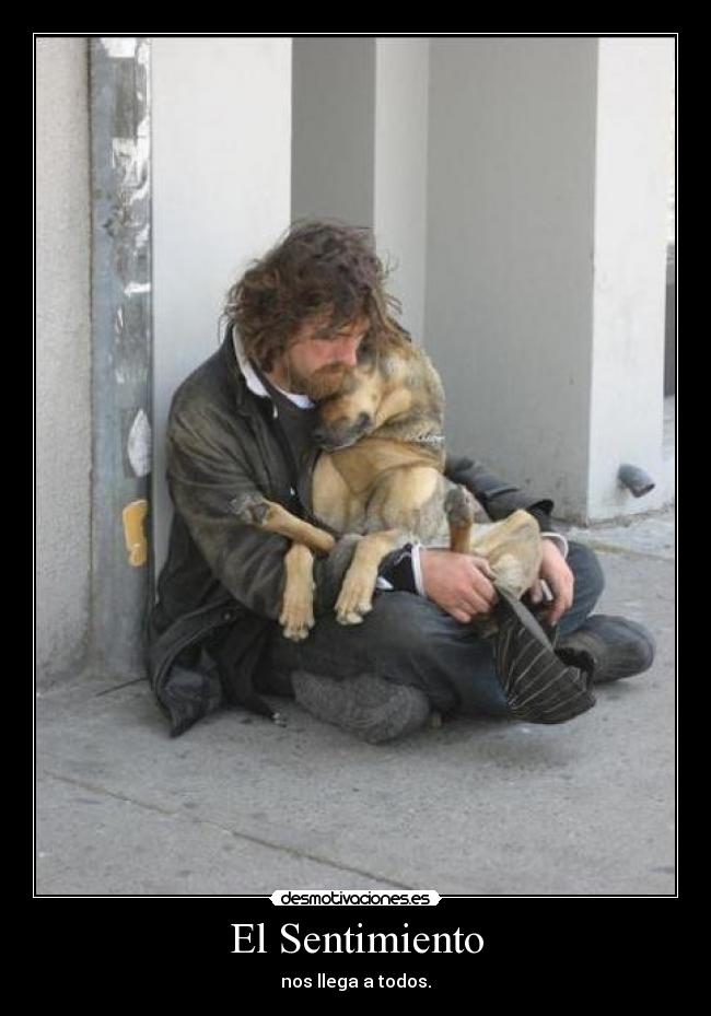 El Sentimiento -