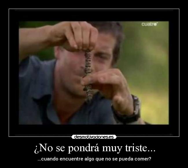 ¿No se pondrá muy triste... -