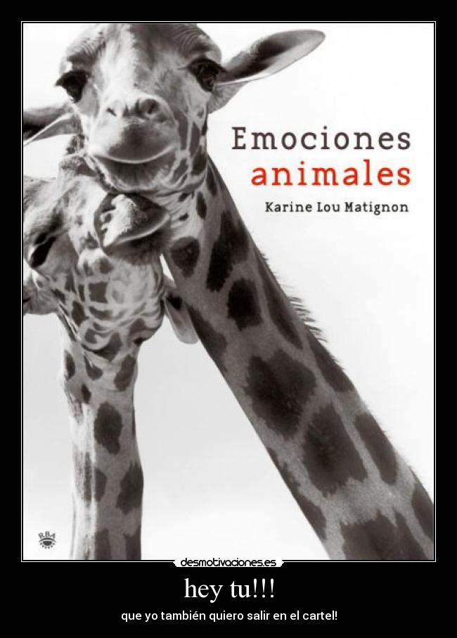 hey tu!!! - que yo también quiero salir en el cartel!