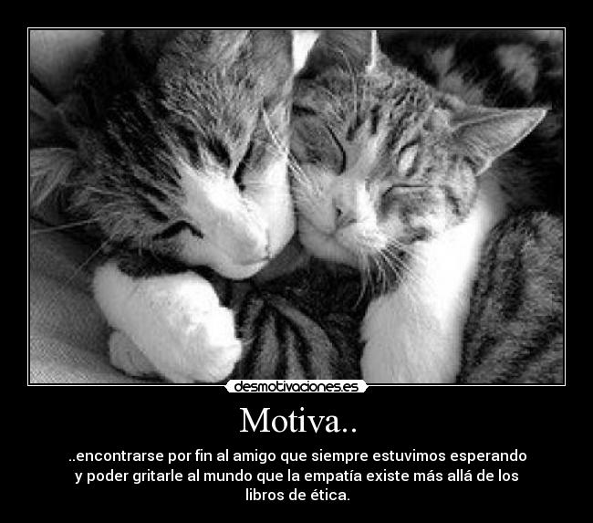 Motiva.. - ..encontrarse por fin al amigo que siempre estuvimos esperando
y poder gritarle al mundo que la empatía existe más allá de los libros de ética.