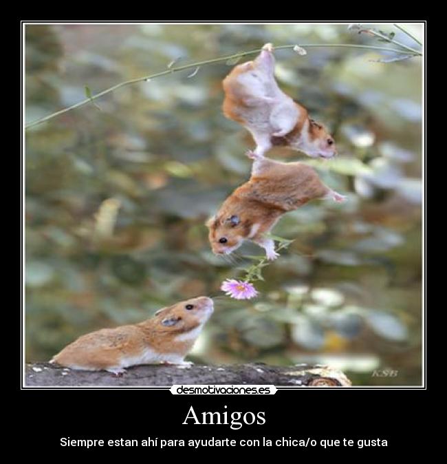 Amigos - Siempre estan ahí para ayudarte con la chica/o que te gusta