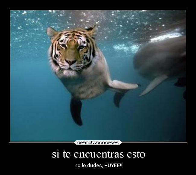 si te encuentras esto - no lo dudes, HUYEE!!