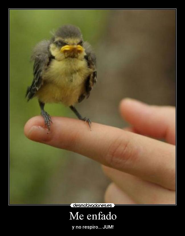 Me enfado - 