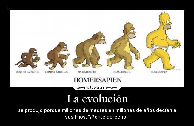 La evolución - se produjo porque millones de madres en millones de años decían a
sus hijos: ¡Ponte derecho!