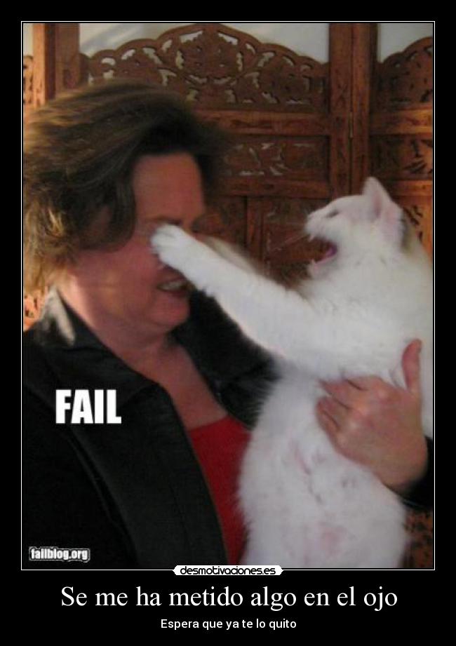 carteles fail gatosg00n desmotivaciones