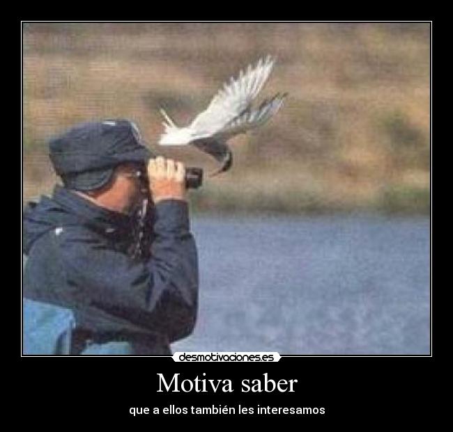 Motiva saber - que a ellos también les interesamos