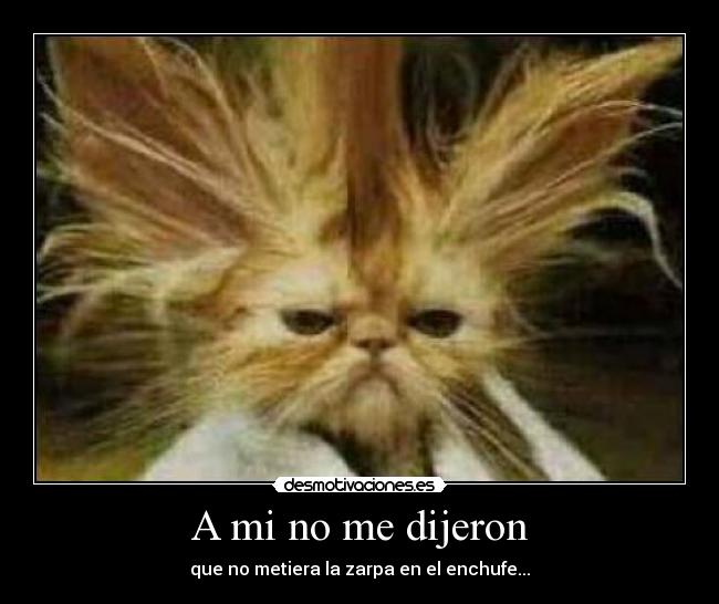 A mi no me dijeron - que no metiera la zarpa en el enchufe...