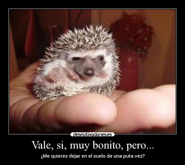 Vale, si, muy bonito, pero... - 