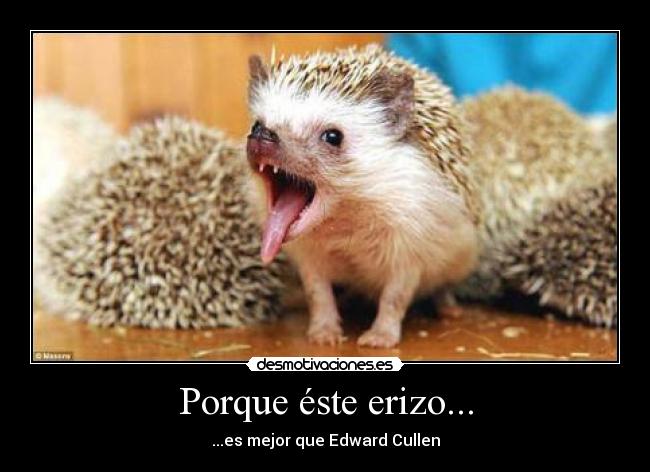 carteles este erizo edward cullen desmotivaciones