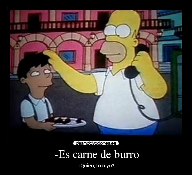 -Es carne de burro - 