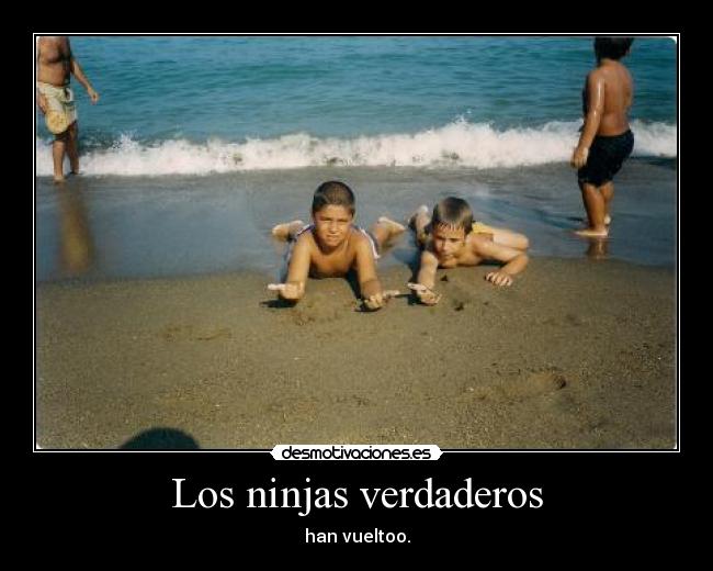 Los ninjas verdaderos - 
