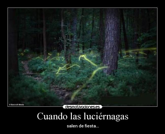 Cuando las luciérnagas -
