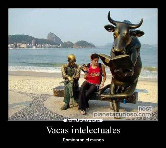 Vacas intelectuales - 