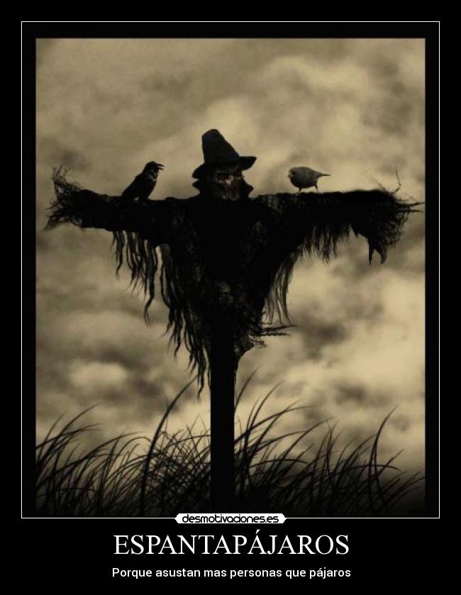 ESPANTAPÁJAROS - 