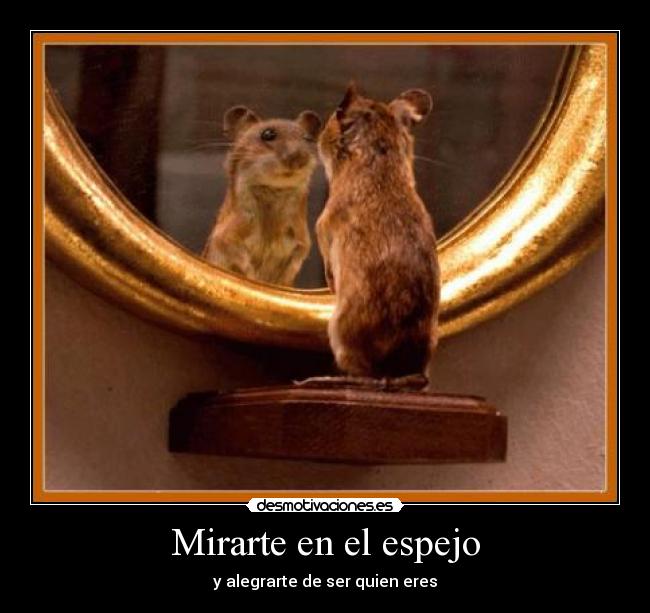 Mirarte en el espejo -