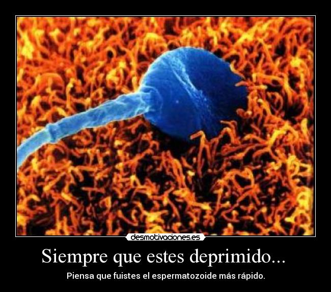 carteles nacho7 desmotivaciones