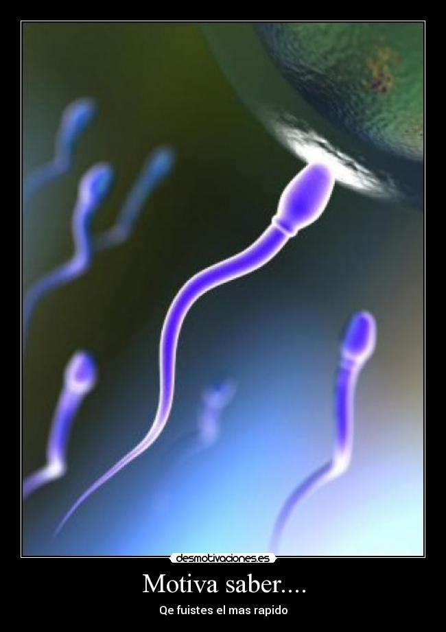 Motiva saber.... - Qe fuistes el mas rapido