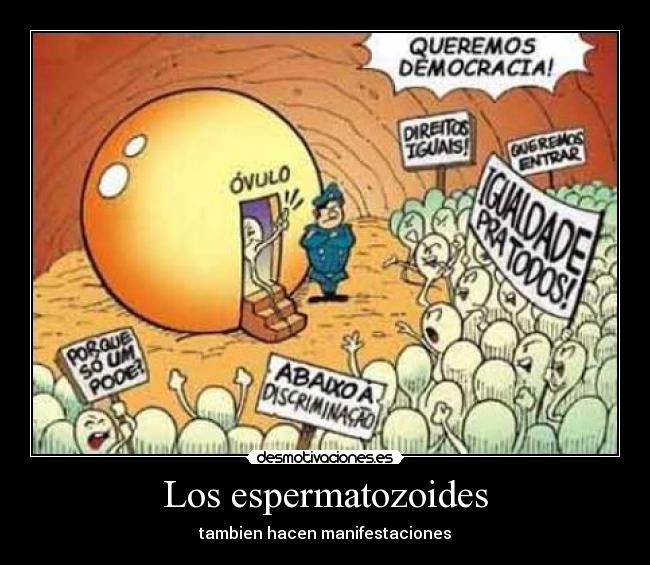 Los espermatozoides - tambien hacen manifestaciones